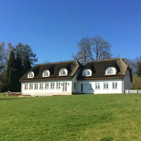 Thatched Landmark In The Forest By Valdemar Castle